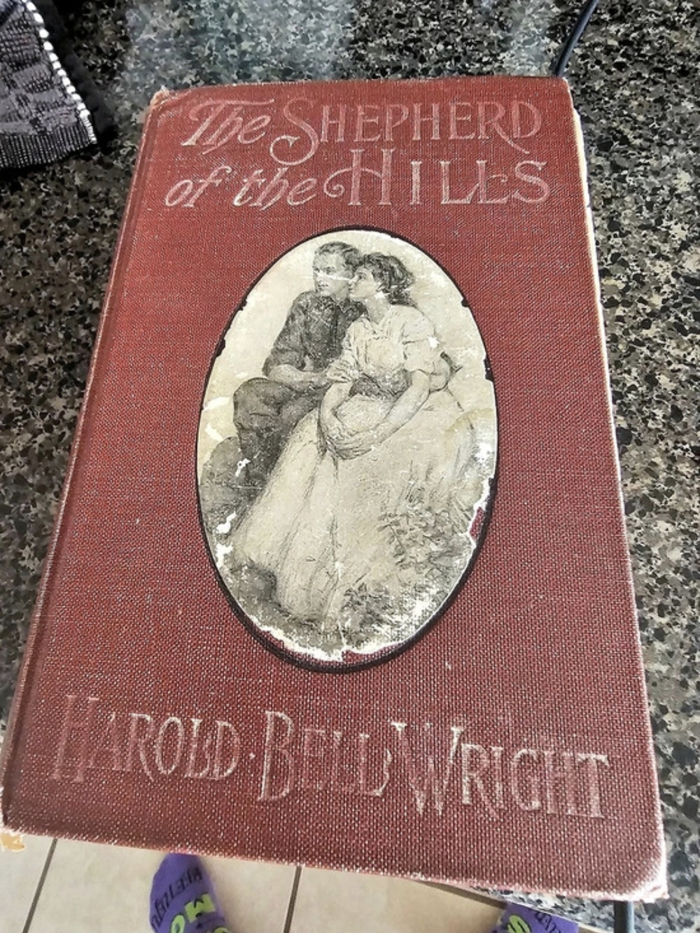 The Shepherd of the Hills Vintage Hardcover Novel Antique Book 1907
